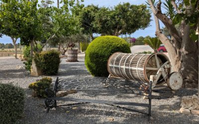Besuch der Bodega von Enrique Mendoza