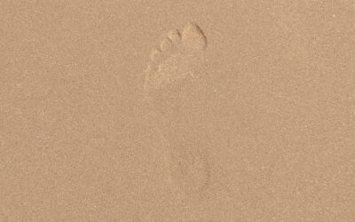 Sommer, Sonne, Strand, Meer und mehr…